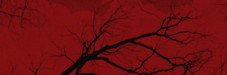 CarminDevil's profile banner image