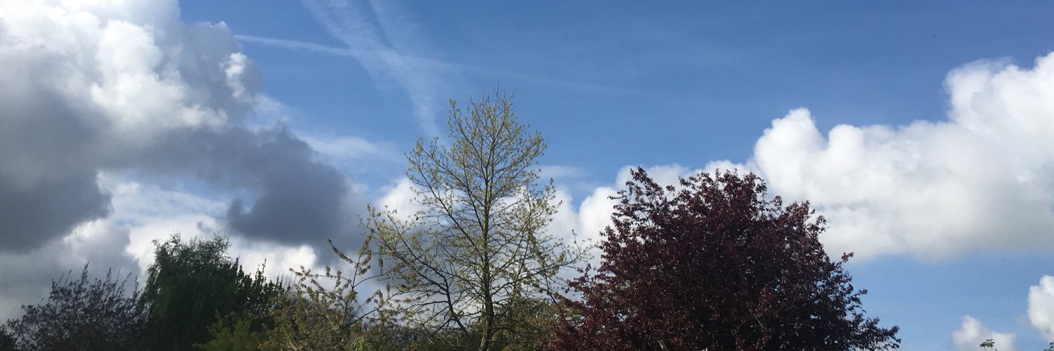 ElsDeboutte's profile banner image