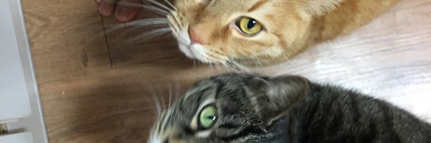 Old_Noodle's profile banner image