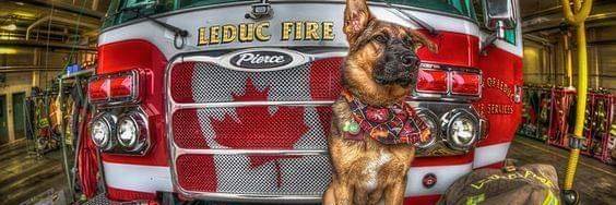 Salvar_85's profile banner image