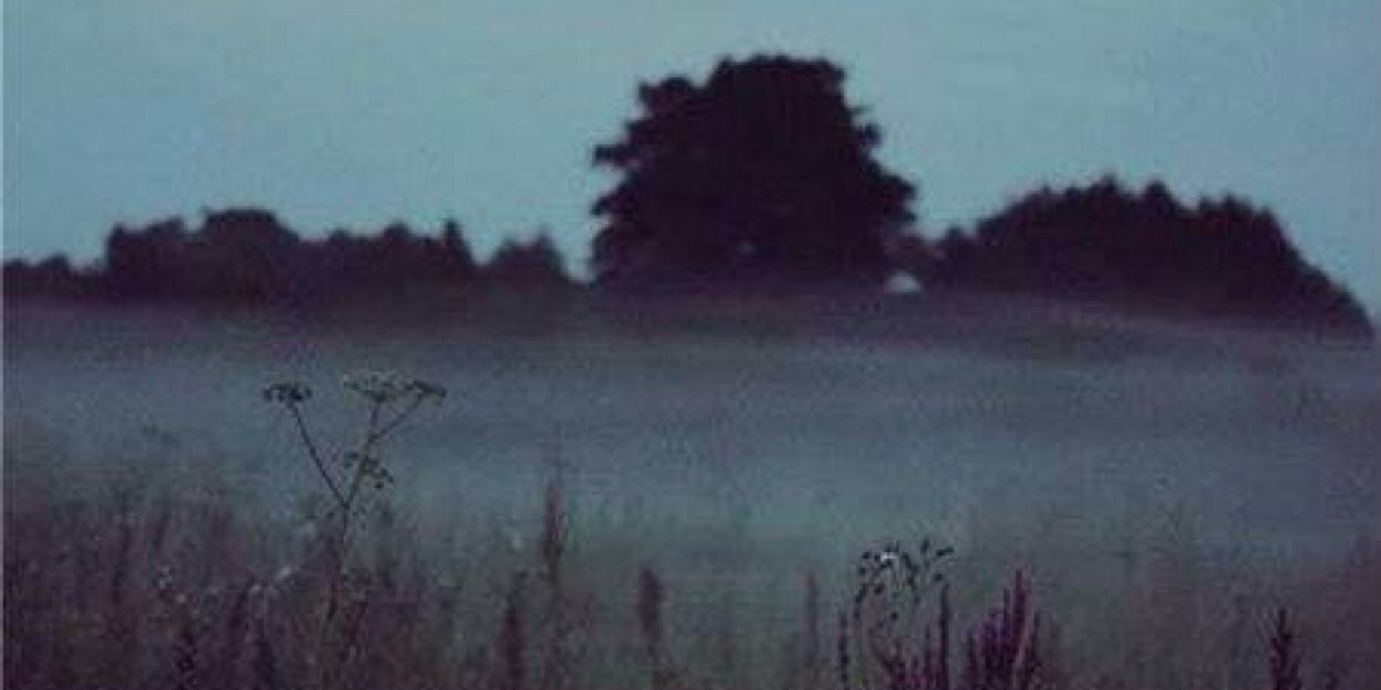 Shianne_Parks's profile banner image