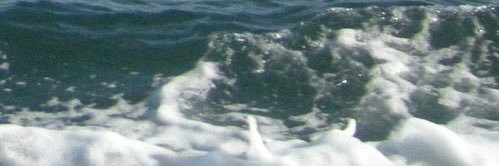 elnefsants's profile banner image