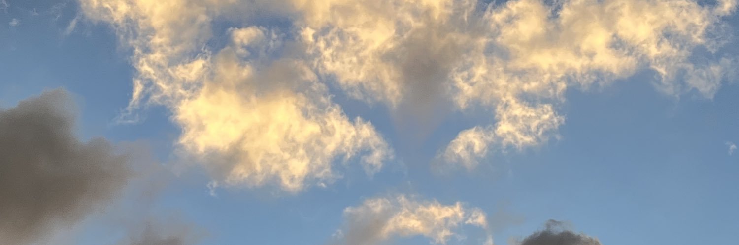 marinalvesz's profile banner image