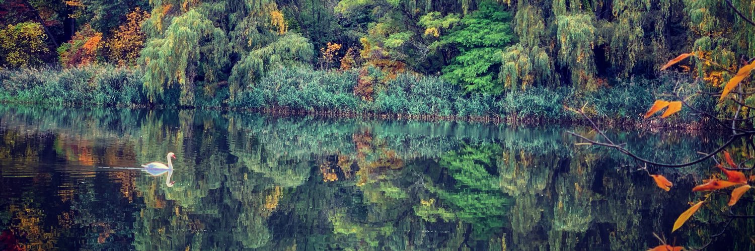 ArboretumAlix's profile banner image