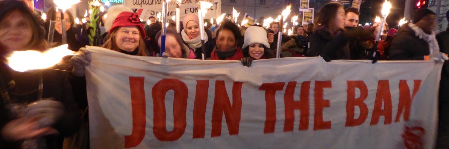 Acronym Institute for Disarmament Diplomacy (AIDD) banner