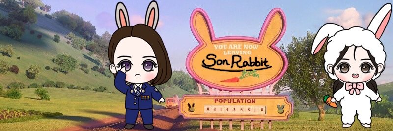 sonrabbit_11's profile banner image