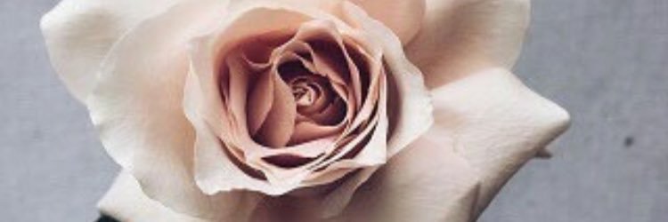 Al_shomy's profile banner image