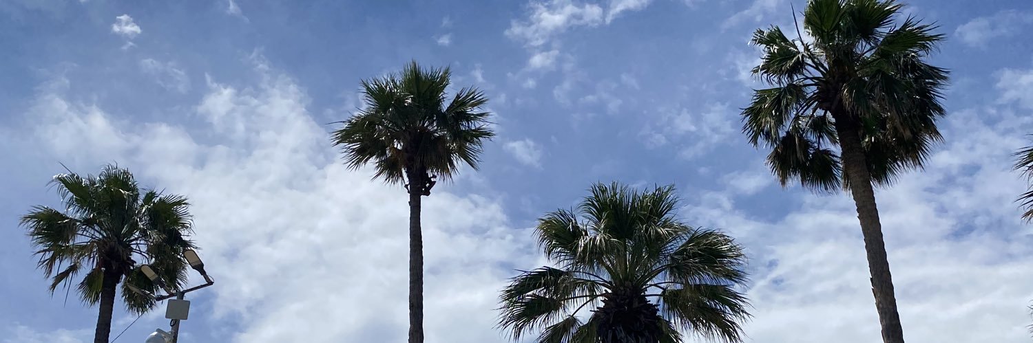 beriblues_'s profile banner image