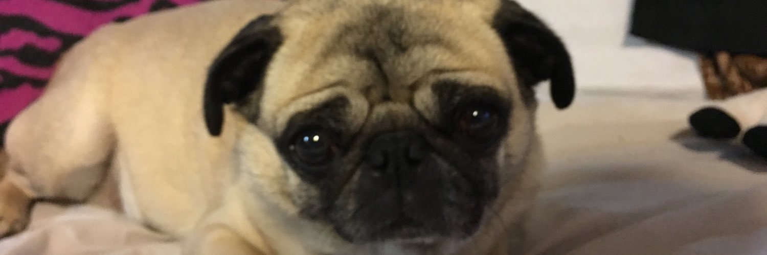 BabyRayne's profile banner image