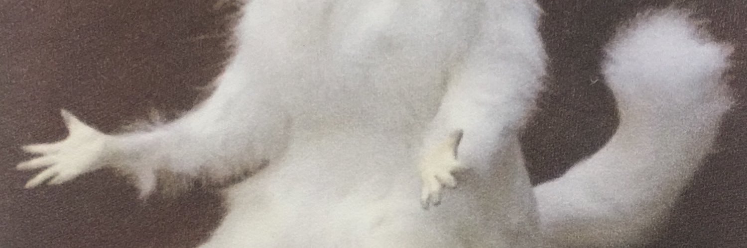 bethyea's profile banner image