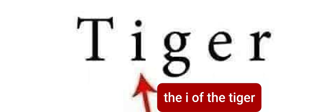 AgisDim's profile banner image