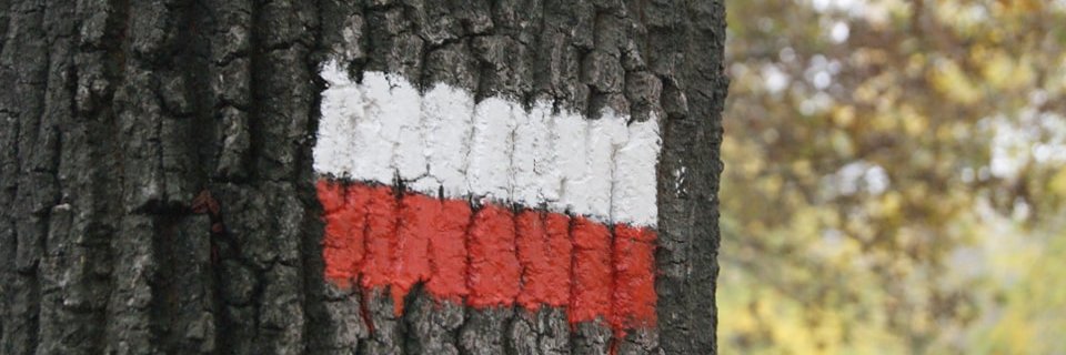 ScarpatiLina's profile banner image