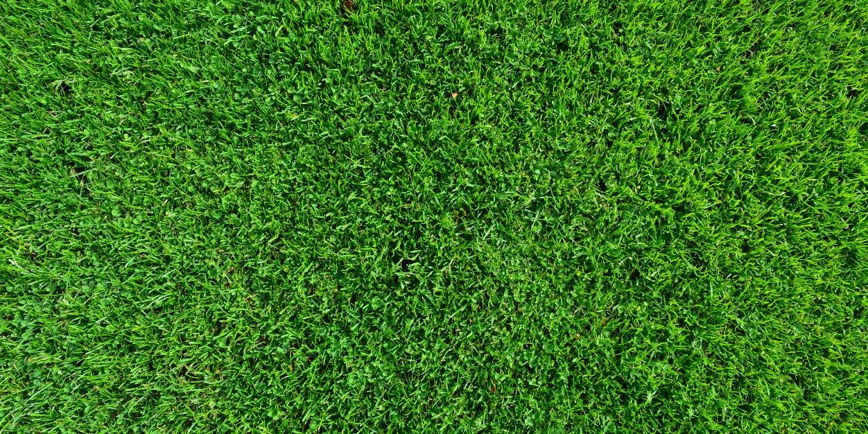 ellenschrijft's profile banner image