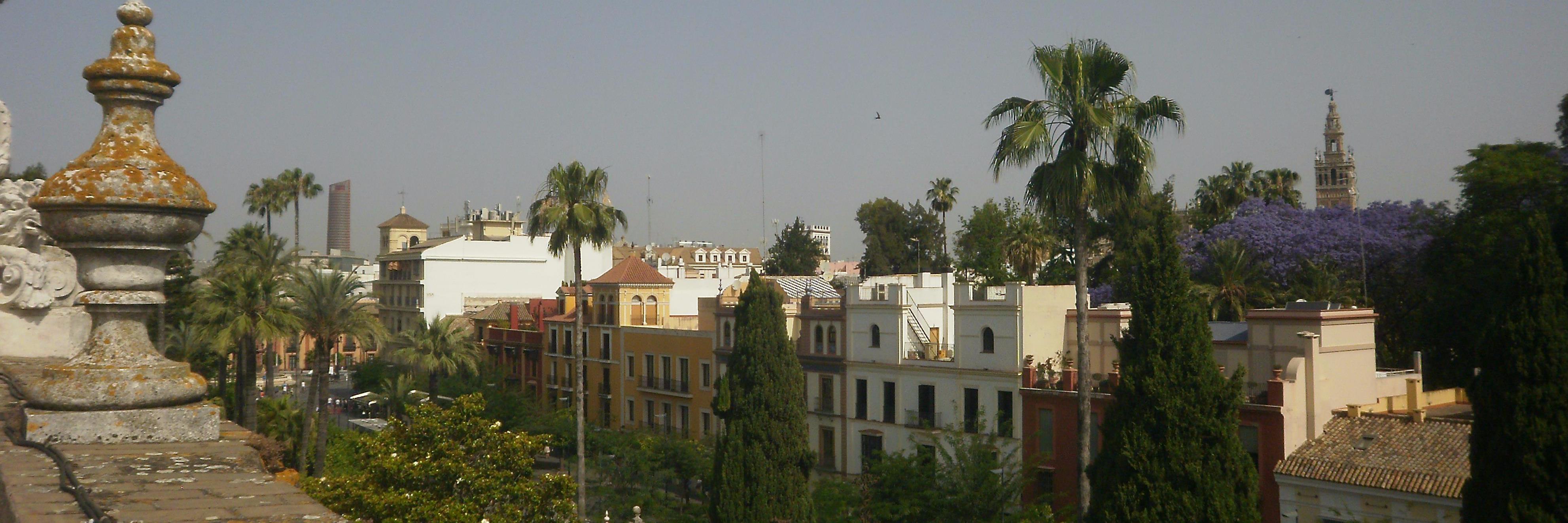 esasevilla's profile banner image