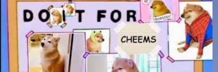 theluison's profile banner image