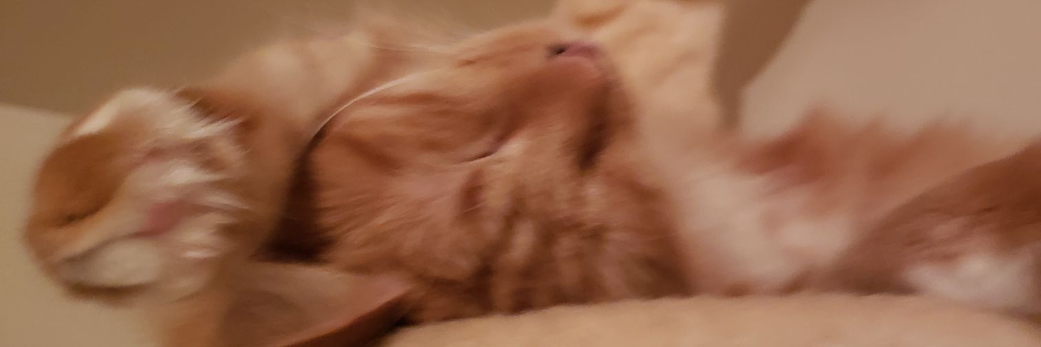 SholRon's profile banner image