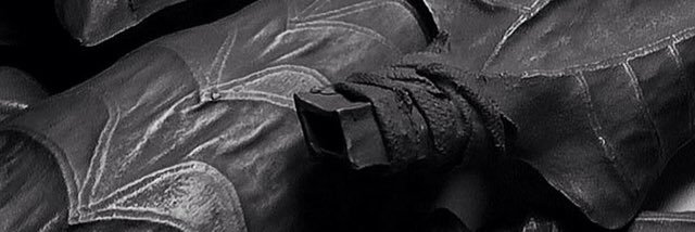 RhiannonLewando's profile banner image