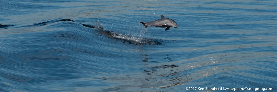 KWS_Photo's profile banner image