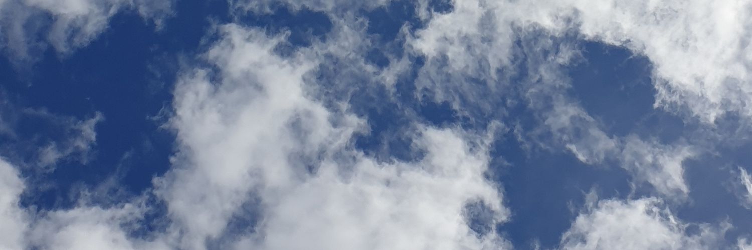 asiharang's profile banner image