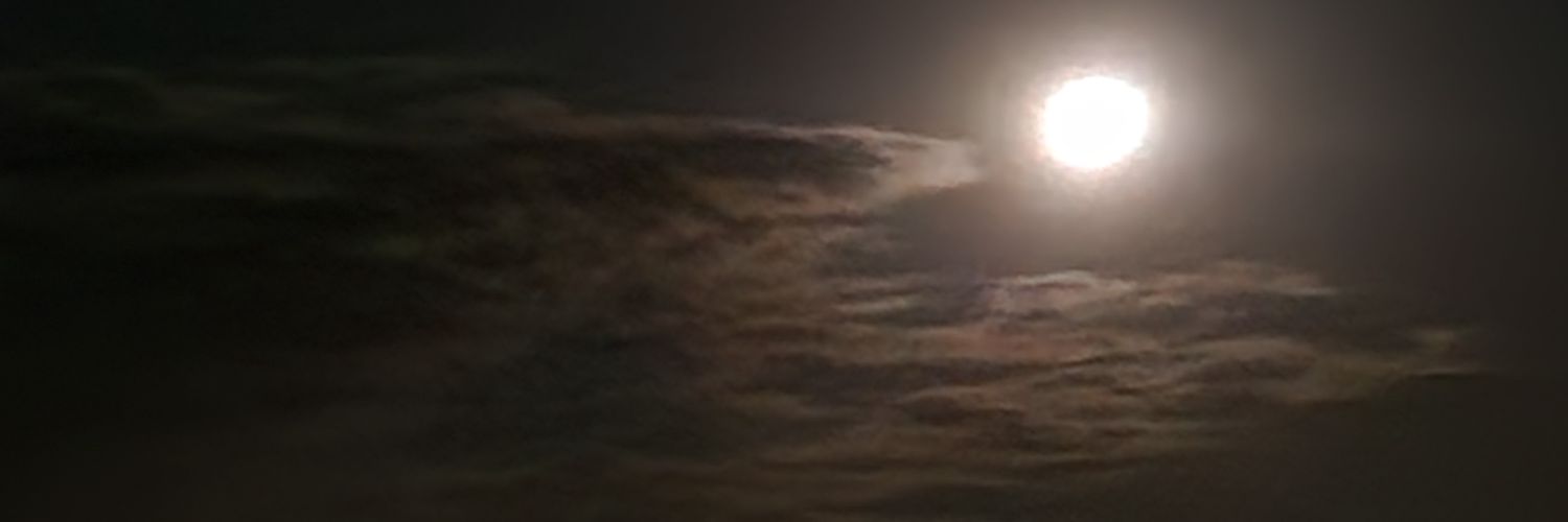 MariaTodesc's profile banner image