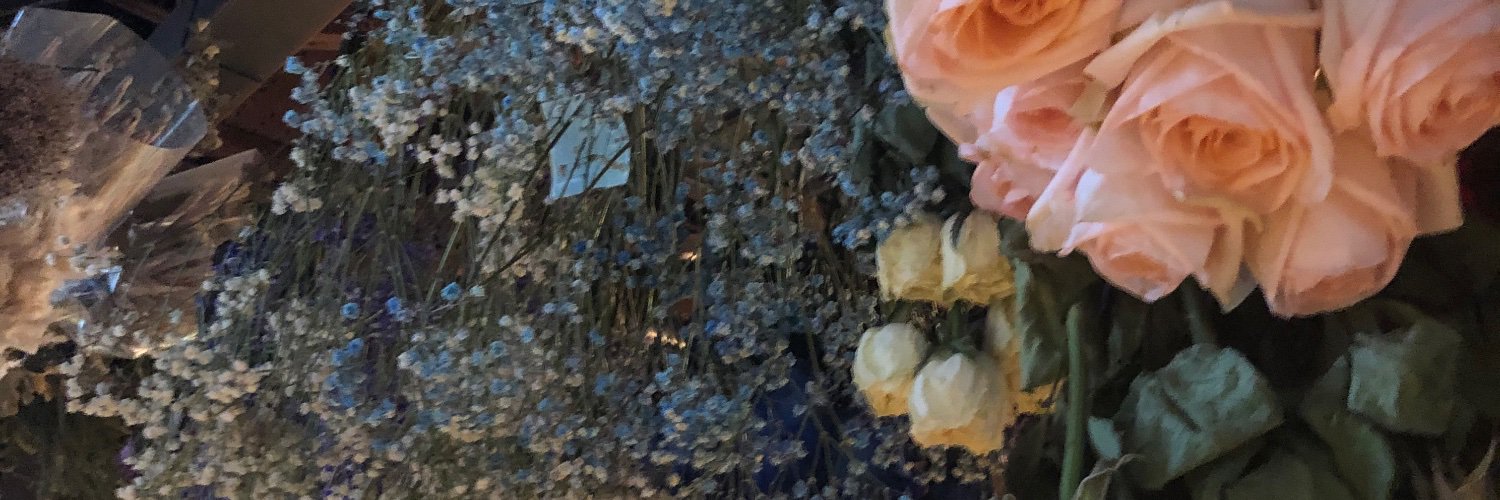 ZainabVC's profile banner image