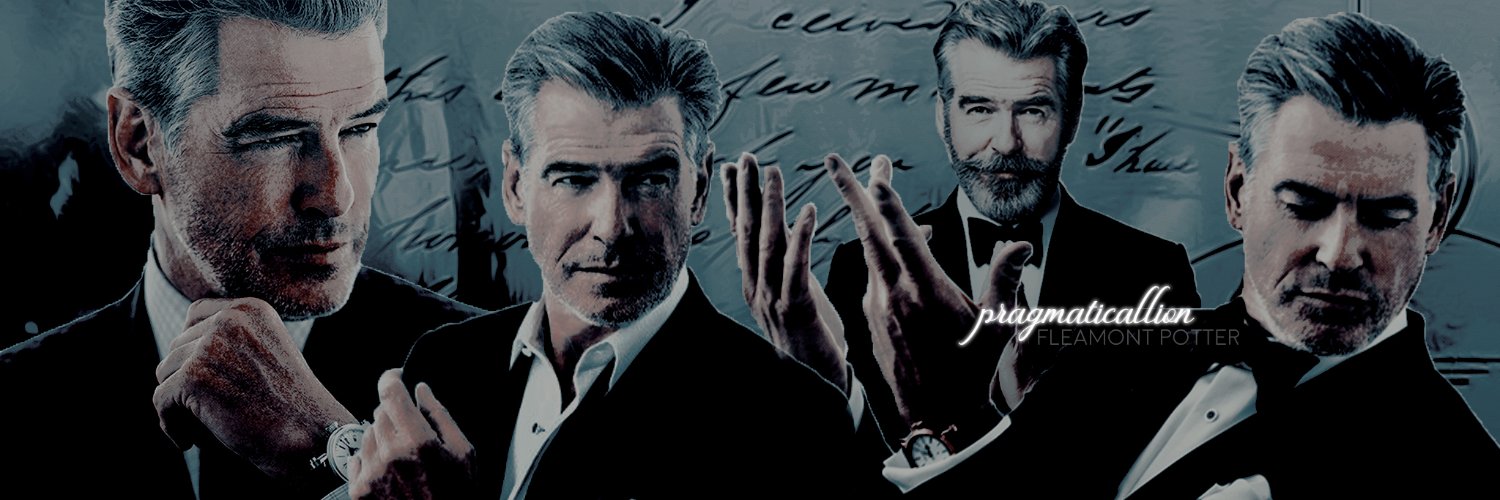 pragmaticallion's profile banner image
