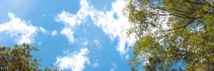 Korap01's profile banner image