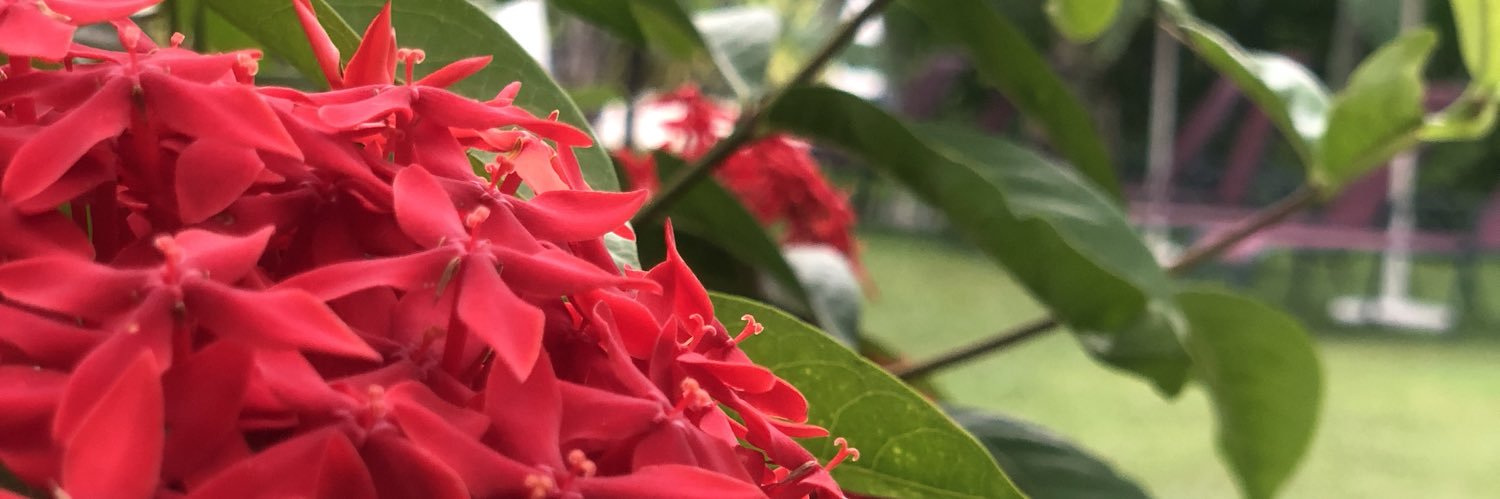 AmjadMB1's profile banner image