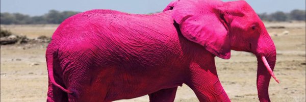 07ndobserver14 Profile Banner