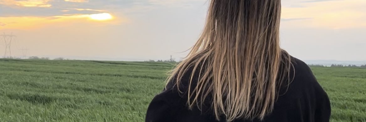SevdeZeber's profile banner image