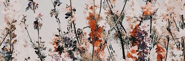 chrishh47's profile banner image