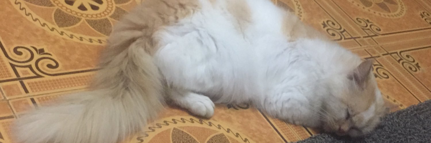 YollaYulianda's profile banner image