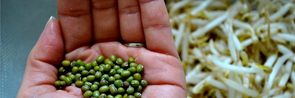 NextgardenNL Profile Banner