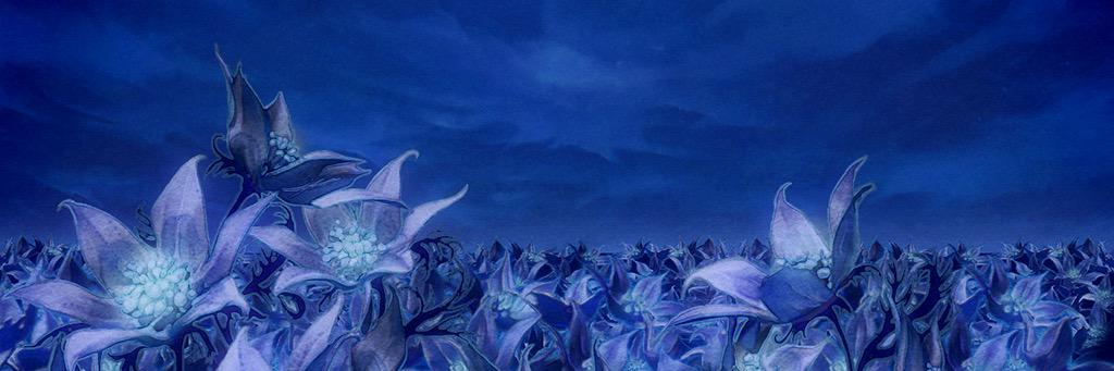 OrEve14's profile banner image