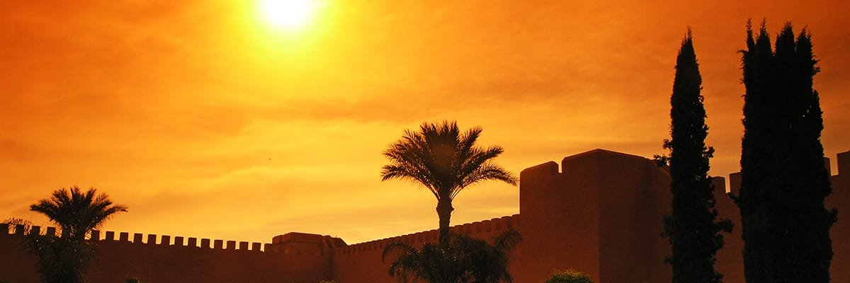 ElCapitano_Iker's profile banner image