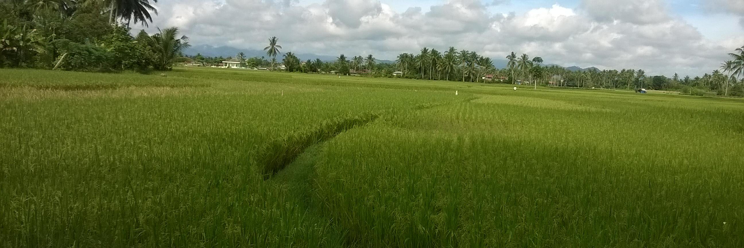 farhanmuhamadd's profile banner image