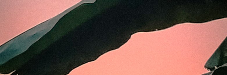 _ZR_20's profile banner image
