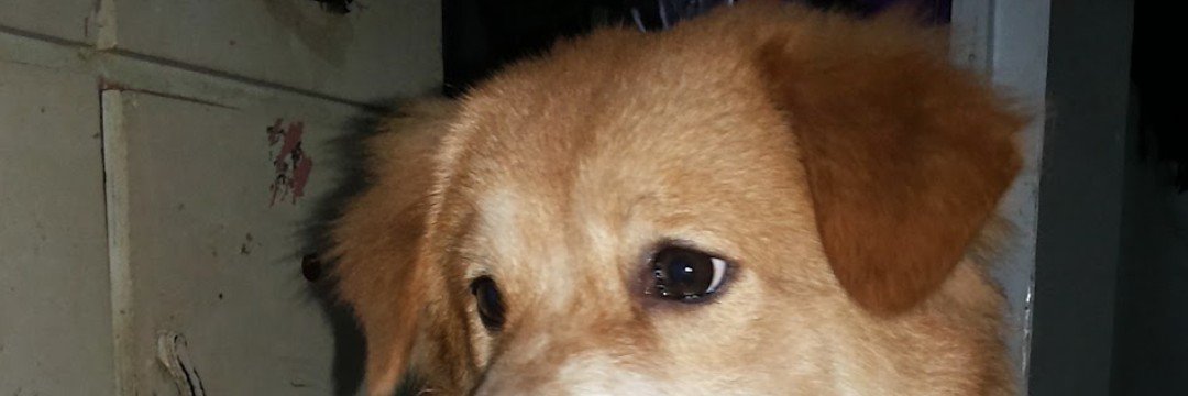 Fenzbob's profile banner image