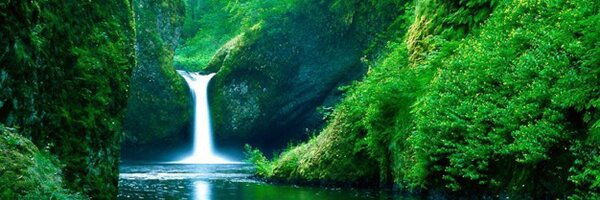 Corti_Row19 Profile Banner