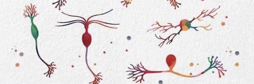 CourtneyBuch2's profile banner image