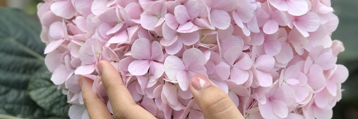 M_hAH's profile banner image