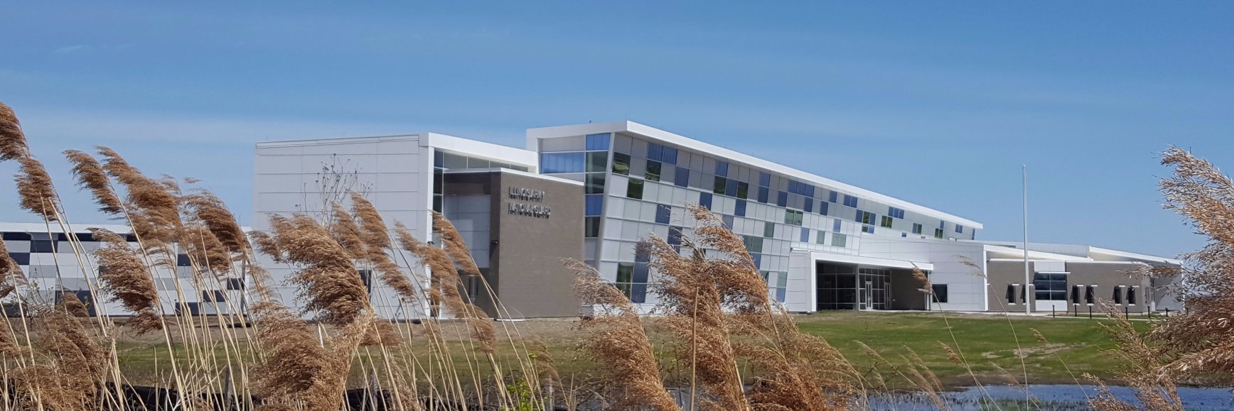 Bailey Edward banner