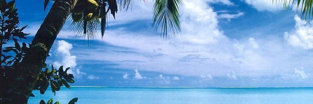 Denise Continentino banner