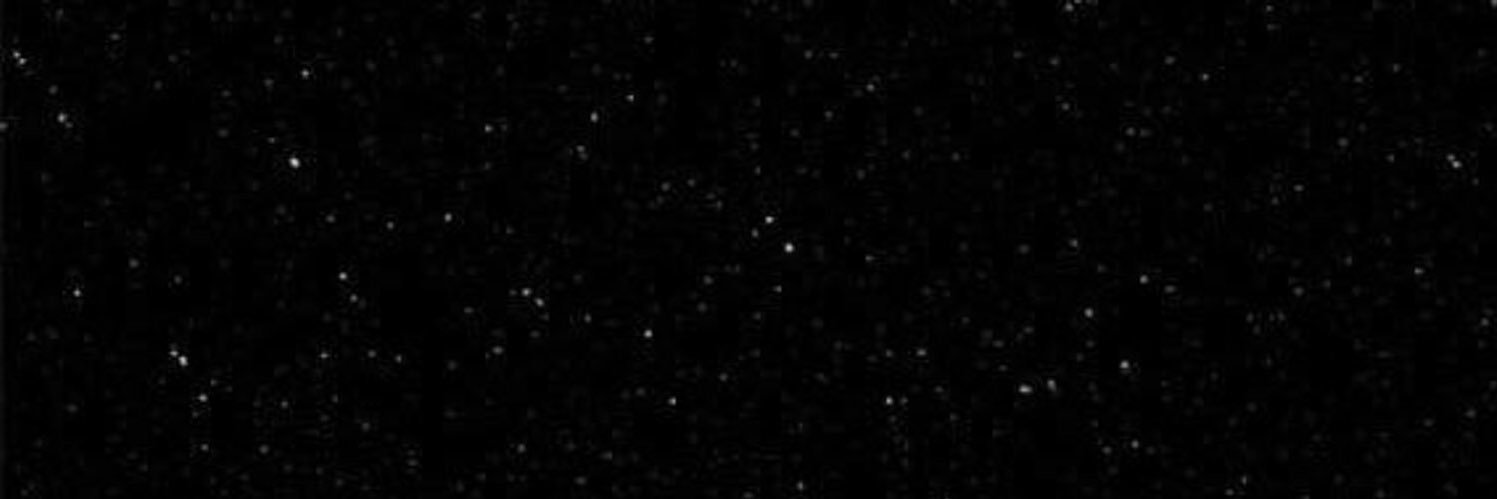Mewty9's profile banner image