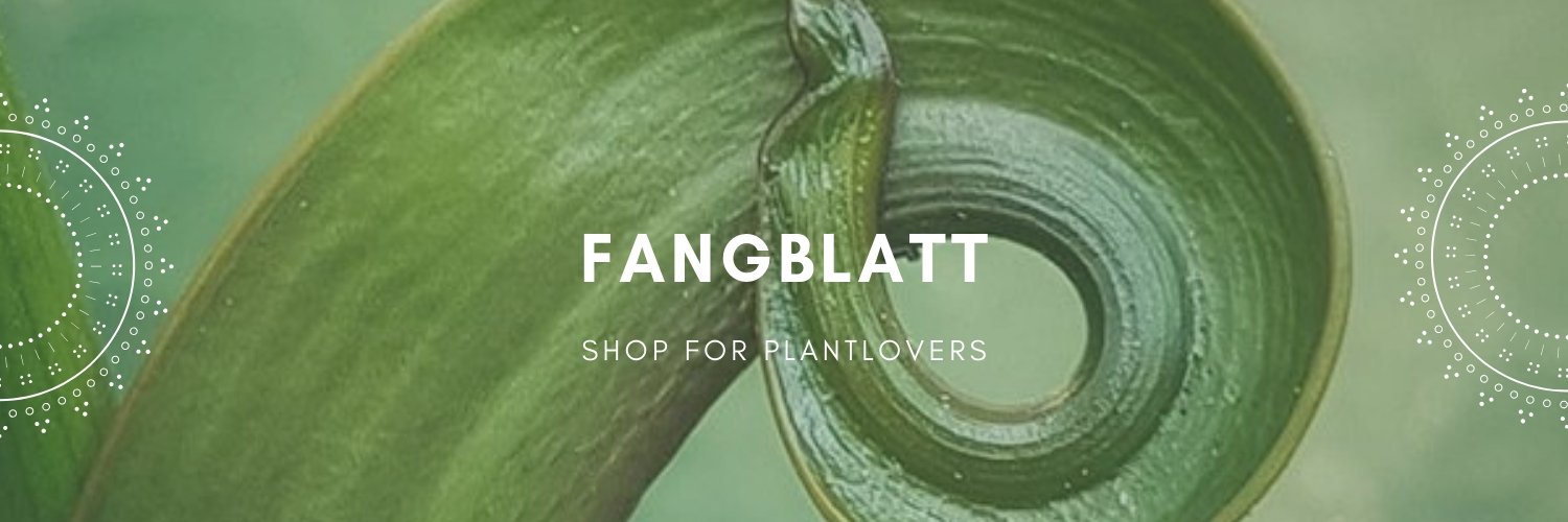 Fangblatt_Shop's profile banner image