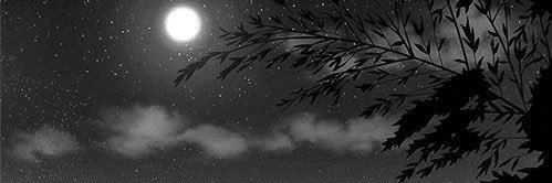 dylan banner