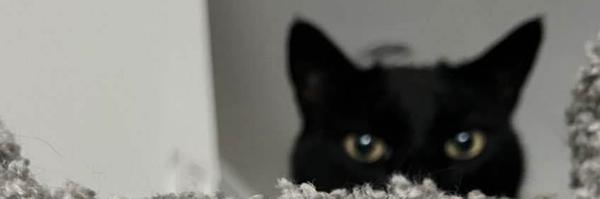 Mike_Bonito's profile banner image