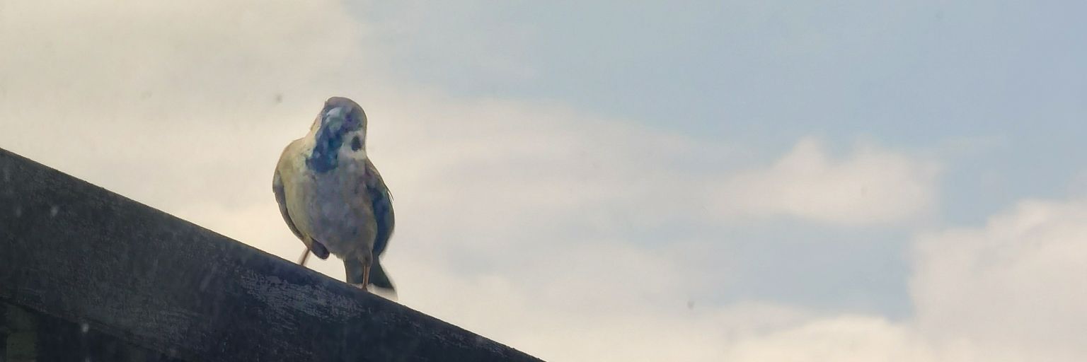 khaleeeeeesii's profile banner image