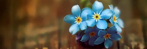 Ralph .·. Kronos banner