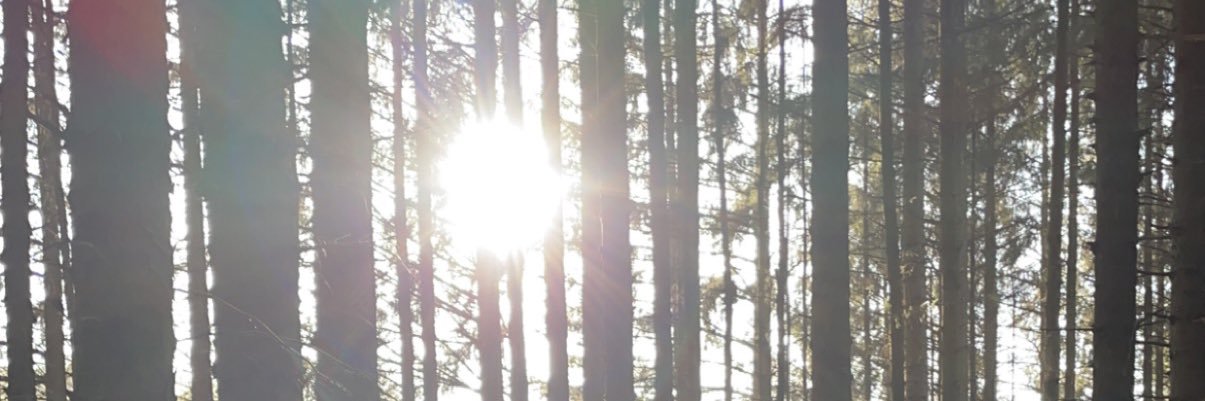 aidencorcoran_'s profile banner image